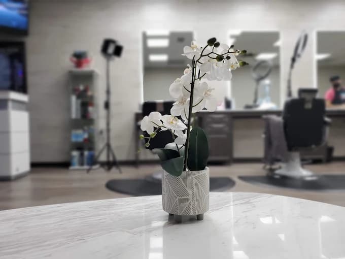 Orchid on the marble table by the waiting area